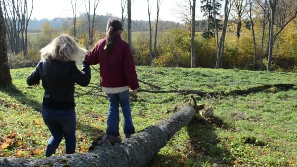 Mutter Tochter Hand Baum — Stockvideo