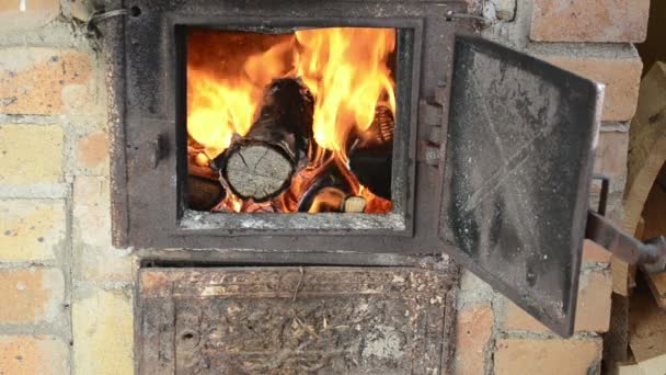 Дрова горят огненная печь — стоковое видео