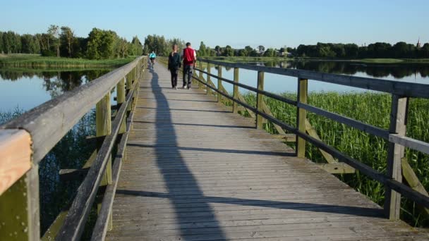 Pareja paseo puente lago — Vídeos de Stock