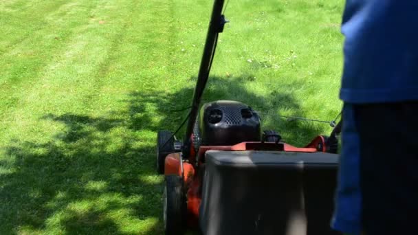 Worker mow lawn cutter — Stock Video