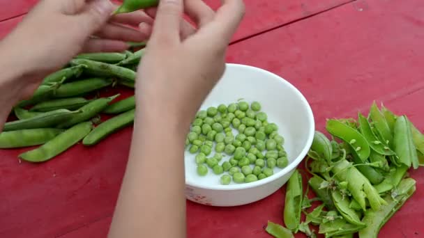 Unpod pease femenino — Vídeos de Stock