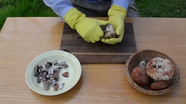 Couteau à main champignon propre 