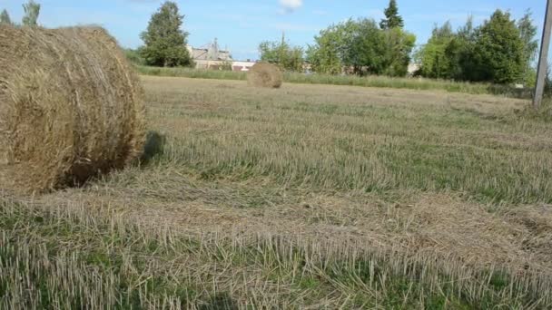 Man move straw bale field — Stock Video