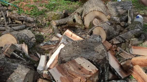 Gloves chop firewood — Stock Video