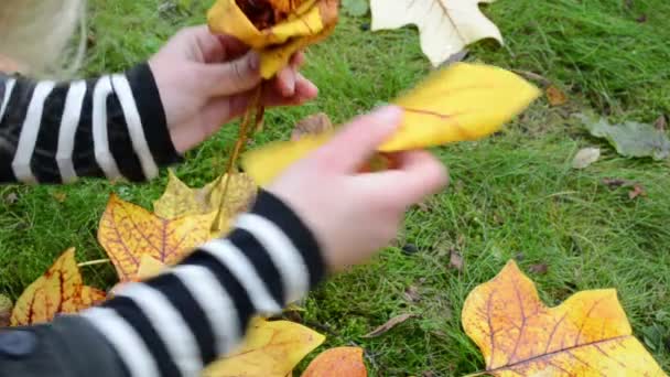 女性の花の葉を作る — ストック動画