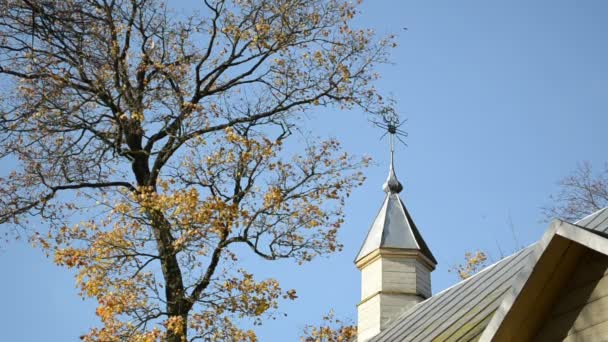 Torre de la iglesia otoño árbol — Vídeo de stock