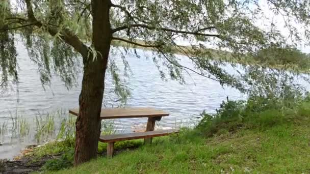Banc saule arbre lac 