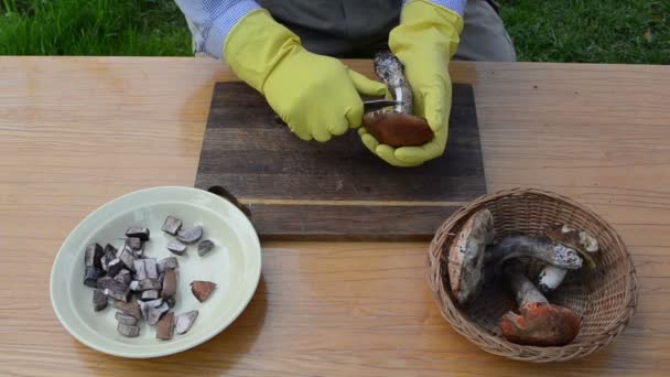 Couteau à main champignon propre 