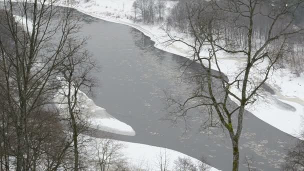 Flussscholle Park Winter — Stockvideo