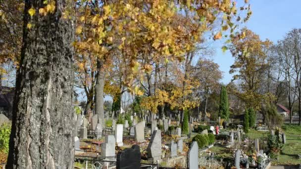 Cuidado sepultura familiar — Vídeo de Stock