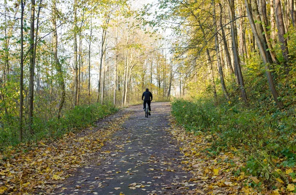 Cyclist ride bicycle uphill road color autumn trees park forest — Stock Photo, Image