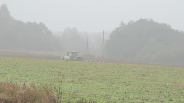 Traktorpflug Nebel — Stockvideo