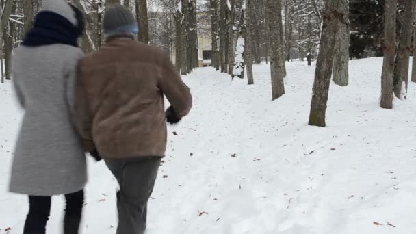 Parque de casais neve inverno — Vídeo de Stock