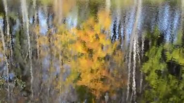 Göl sonbahar ağaç yansıtacak