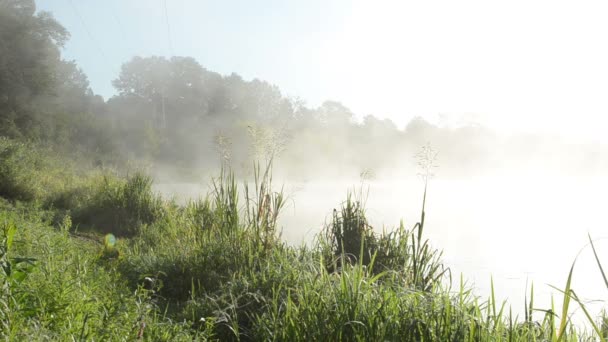 River water fog mist — Stock Video