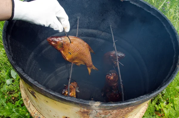 El eldiven duman Kadife balığı balık smokehouse varil — Stok fotoğraf