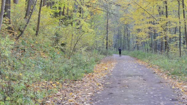 Man sportsman athlete run beautiful autumn park road healthy — Stock Video