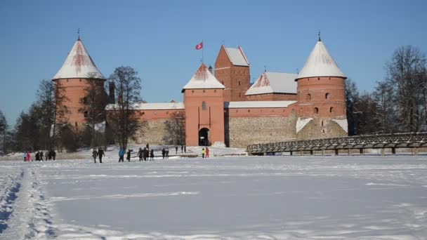 Крепость Тракайского замка заморожена Гальвес зимой — стоковое видео