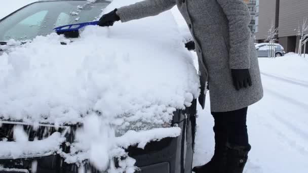 Donna pulizia rimozione neve auto finestrino anteriore spazzola strumento inverno — Video Stock