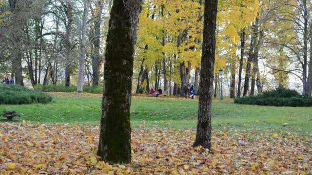 Relaks odpoczynek kolorowy park jesień. para siedzieć w ławce spacerem — Wideo stockowe