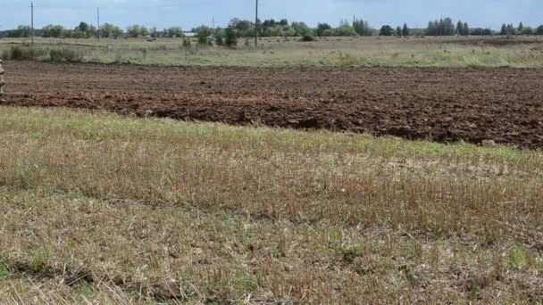 Traktör tekerlekli plough closeup pulluk alan hasat festivali — Stok video