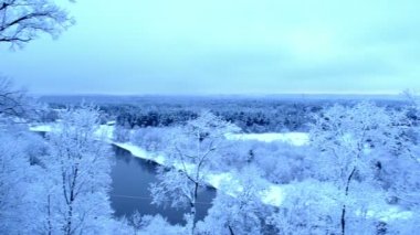 Panorama görüş nehir yokuş aşağı Orman ağaçları kış parkı kar