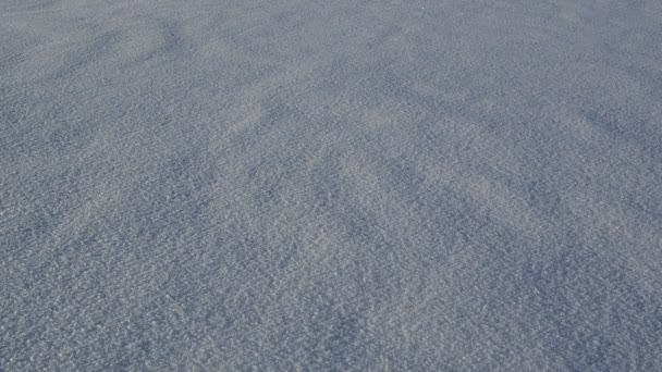 Kvinna ben Vinterskor kör spröda snö kall solig dag — Stockvideo