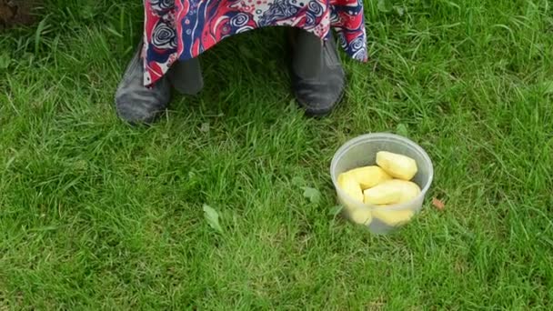 Miska oloupané brambory trávy stará žena ruce oholit brambor nůž — Stock video