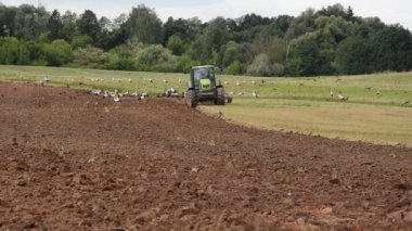 Tarım Makinaları pulluk alan leylek göz gıda
