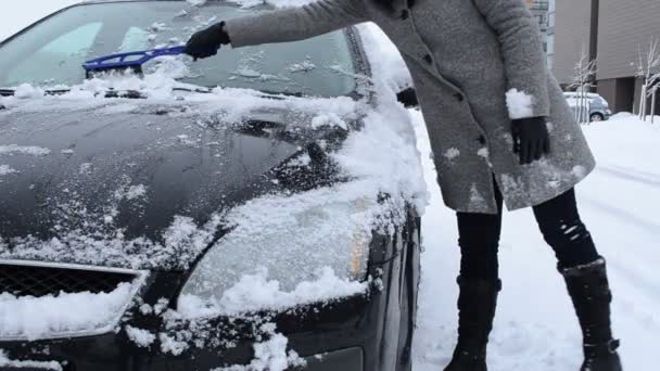 Frau reinigen Auto Schnee Mann Vater ziehen Schlitten Kind Sohn Winter — Stockvideo