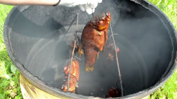 Rukou rukavice držet kouře lín ryb udírnu barel — Stock video