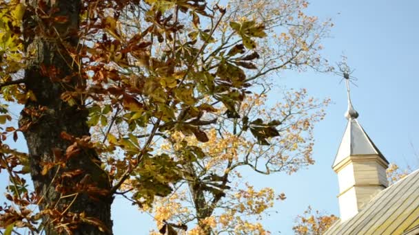 Vieille tour d'église rurale en bois croix automne conker feuilles d'arbre — Video