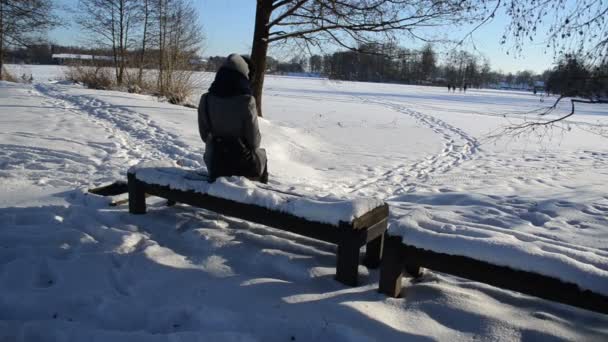 Женщина пальто сидеть скамейка снег любоваться замёрзшее озеро стоять пешком — стоковое видео