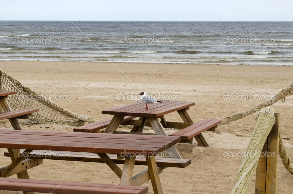 Wooden Tables Benches Sea Ocean Beach Seagull Gull Stock Photo