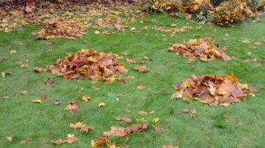 kadın lastik çizme tekme karışıklık komisyon sonbahar yaprak yığınları Bahçe