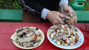 Turuncu kapak mantar kedi sit diz adamım