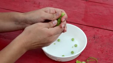 tatlı kadın el depod yeşil bezelye beyaz tabak kırmızı ahşap tablo