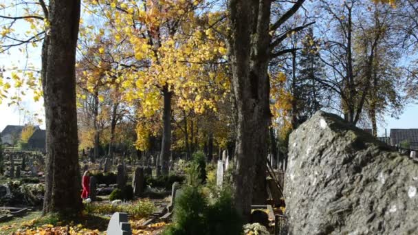 Criança criança vermelho andar velho cemitério rural cemitério outono — Vídeo de Stock