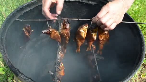 Hand take delicacy gourmet smoked fish food — Stock Video