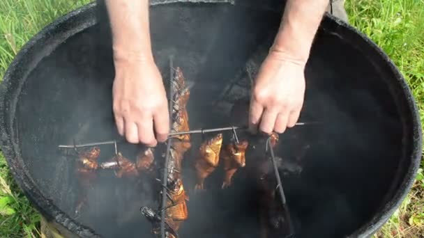 Delicadeza comida de peixe defumado gourmet — Vídeo de Stock