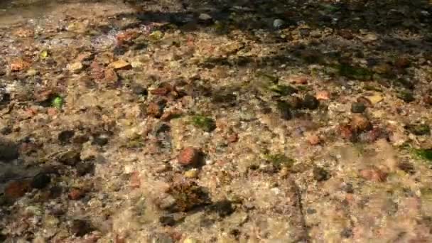 Pequeñas piedras de guijarro primer plano bajo el agua del arroyo fluyendo río — Vídeos de Stock