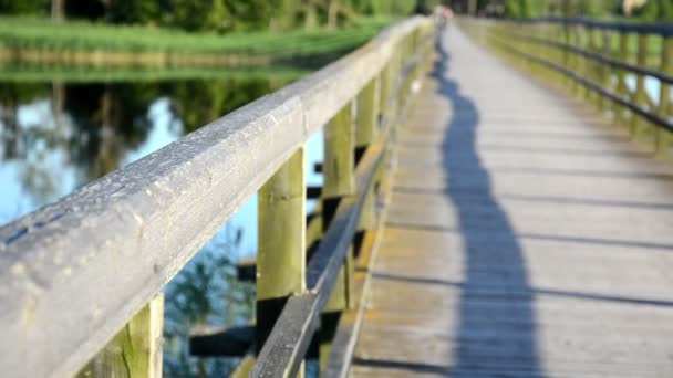 Ponte di legno ringhiera coppia primo piano abbracciare clinch distanza — Video Stock