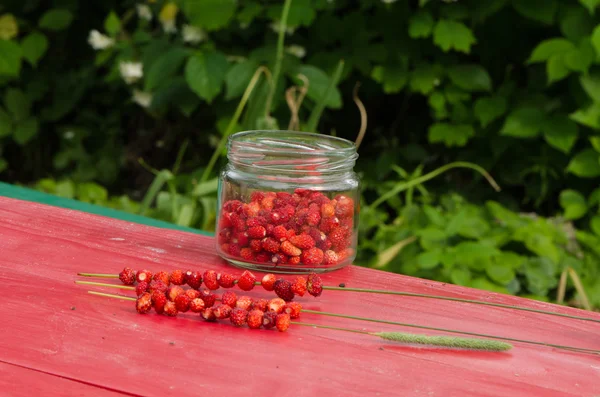 野草莓玻璃壶字符串弯曲的健康水果 — 图库照片