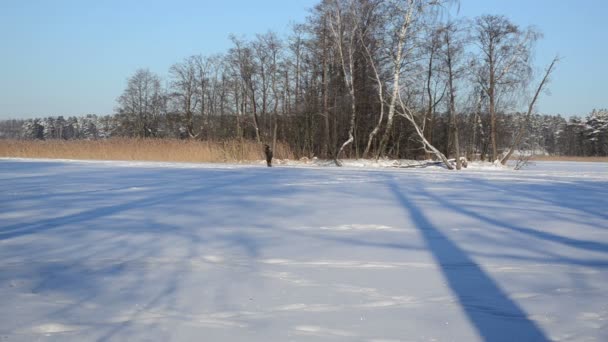 Active man skier recreate sport refresh trip frozen lake island — Stock Video