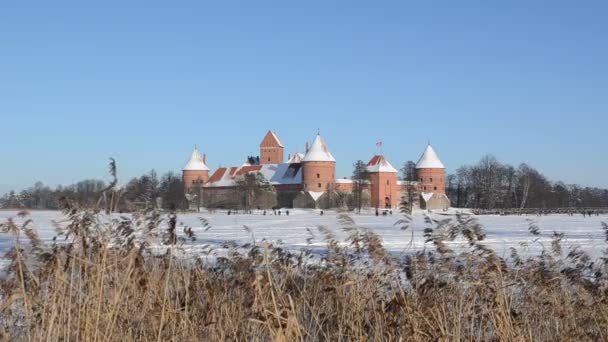 Turisté znovu v trakai castle sněhu zmrazené jezero rákosí — Stock video