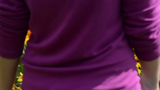 main toucher rudbeckia fleur fleur jardin 