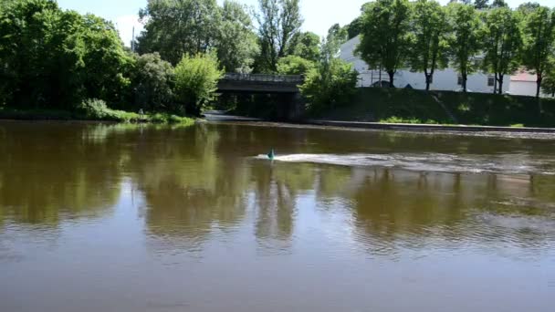 Green buoy flow river neris center vilnius city — Stock Video
