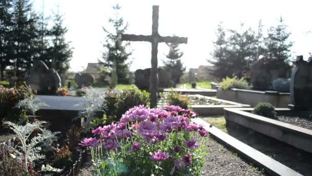 Crisantemos otoño flores cementerio tumba monumentos cruz — Vídeo de stock