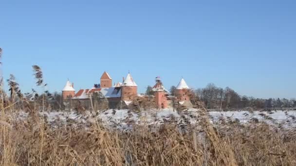 Χιόνι κάστρο Trakai κατεψυγμένα λίμνη καλάμια άνεμος αναδημιουργήσει χειμώνα — Αρχείο Βίντεο