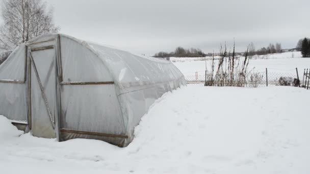 Invernadero de polietileno casero manzanas podridas nieve jardín de invierno — Vídeos de Stock